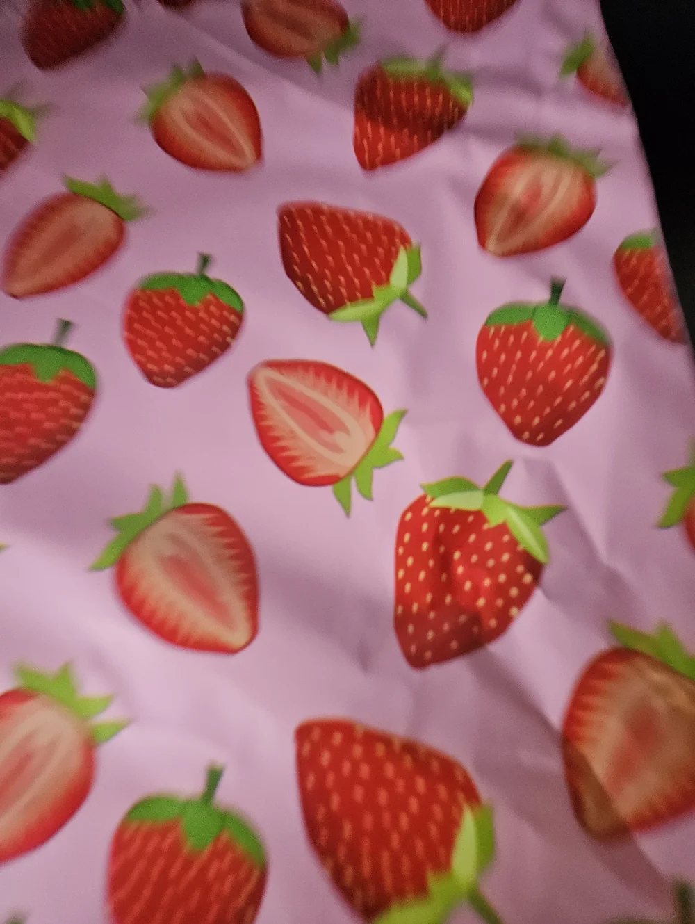 10 Strawberry Polymailer Packages